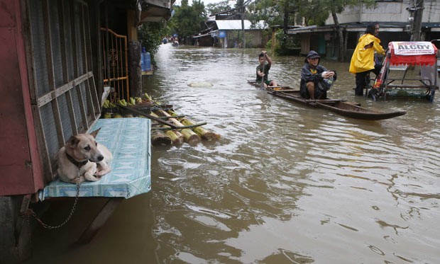 Cão ilhado em frente a loja de conveniências em rua inundada em Butun, na ilha filipina de Mindanao, nesta sexta-feira (17) (Foto: Silvia Izquierdo/AP)