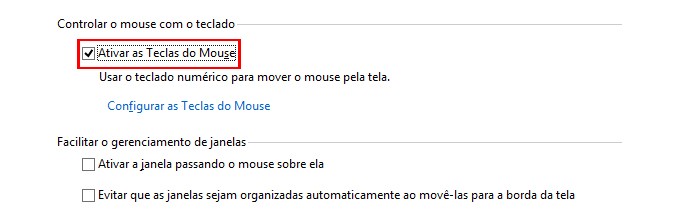 Opção permite controlar o mouse através do teclado numérico (foto: Reprodução/Windows)