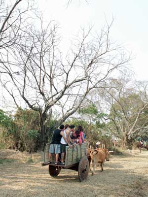 Visitantes puderam experimentar passeio em carro de bois (Foto: Arquivo/Ardilhes Moreira/G1)