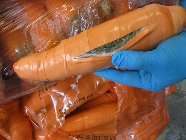 Maconha estava disfarçada entre carga de cenouras (Foto: US Customs and Border Protection)