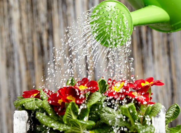A forma mais econômica de aguar as plantas é usando um regador! (Foto: Thinkstock)