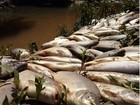 Problema no rio Tietê pode atingir Barra Bonita, diz ambientalista