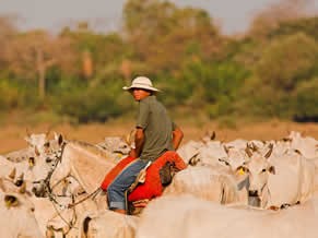 Produtor rural de carne de pecuária orgânica (Foto: Divulgação / WWF-Brasil / A. Cambone, R. Isotti - Homo ambiens)