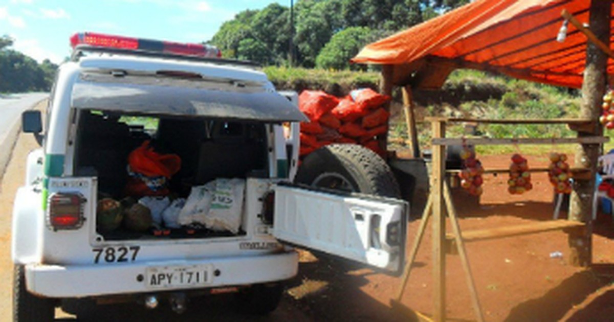 G1 - Homem é detido por venda irregular de pinhão em rodovia do Paraná