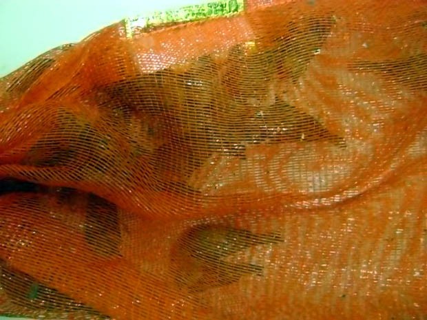 Alguns pássaros estavam presos em sacos no carro (Foto: Polícia Militar Ambiental) Alguns pássaros estavam presos em sacos no carro (Foto: Polícia Militar Ambiental)