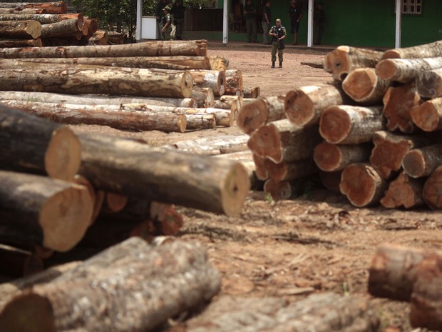 Agentes do Ibama inspecionam madeira ilegal apreendida na reserva indígena do Alto Guama, em Nova Esperança do Piriá (PA). Os fotógrafos Nacho Doce e Ricardo Moraes, da Reuters, viajaram pela Amazônia registrando formas de desmatamento. Foto de 25/9/2013. (Foto: Ricardo Moraes/Reuters)