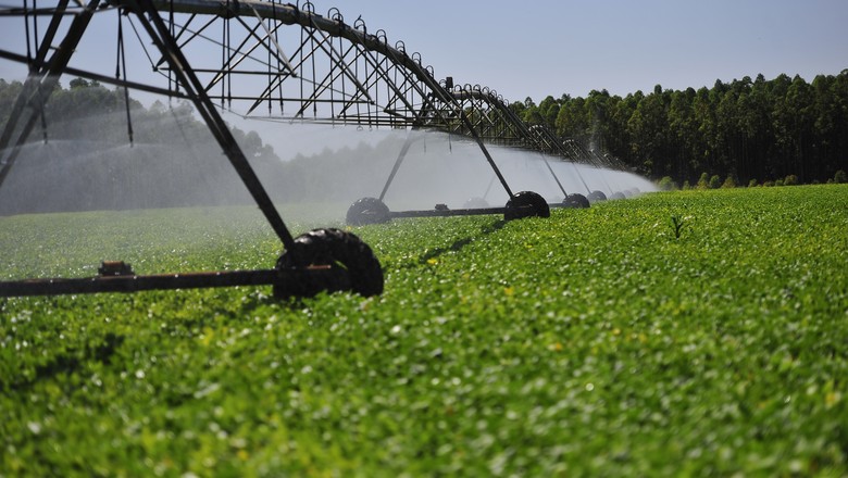 Irrigação-água-agricultura (Foto: Globo Rural)