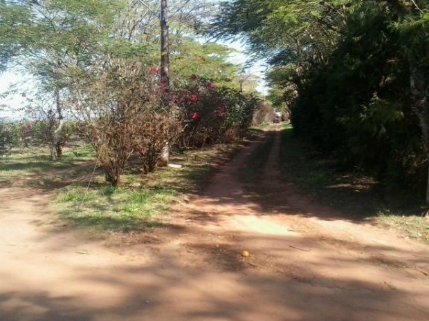 Caminho que leva Ã  sede da fazenda de Roger Abdelmassih em AvarÃ© (Foto: Caio Gomes Silveira/ G1)