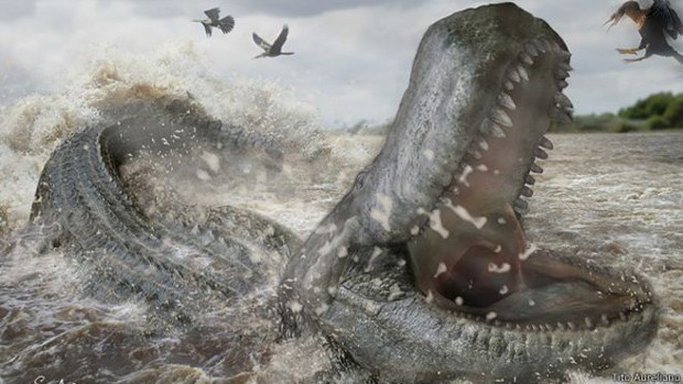 A mordida do Purussaurus era 20 vezes mais poderosa que a de um tubarão branco (Foto: Tito Aureliano/BBC)