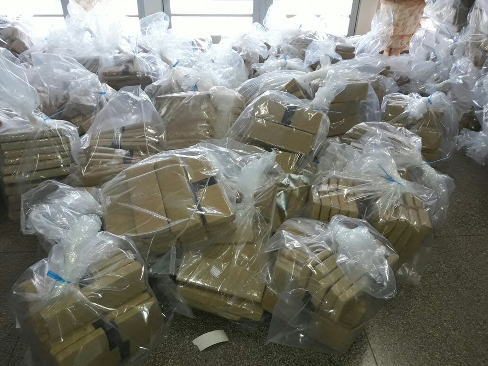 Quase cinco toneladas de maconha foram apreendidas em Teodoro Sampaio (Foto: Betto Lopes/TV Fronteira)