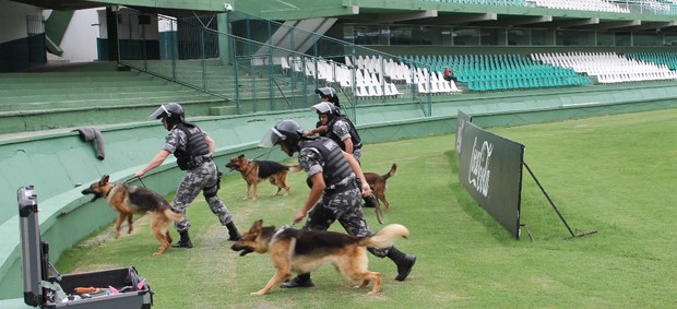 Polícia Militar realiza testes com cães no Estádio Couto Pereira (Foto: Divulgação / Site oficial do Coritiba)