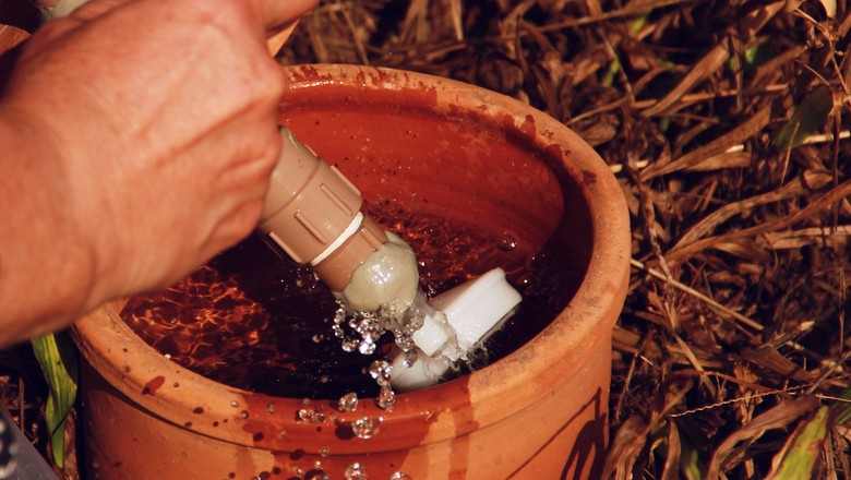 Com baixo custo, potes de argila são usados para irrigar lavouras