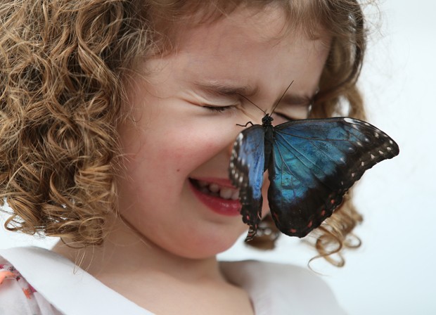 Menina 'faz careta' aps borboleta pousar em seu nariz em exposio do Museu de Histria Natural britnico (Foto: Alastair Grant/AP)