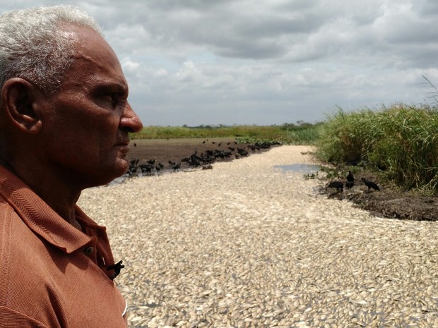 G1 Lagoa seca e peixes morrem em distrito de Linhares ES notícias