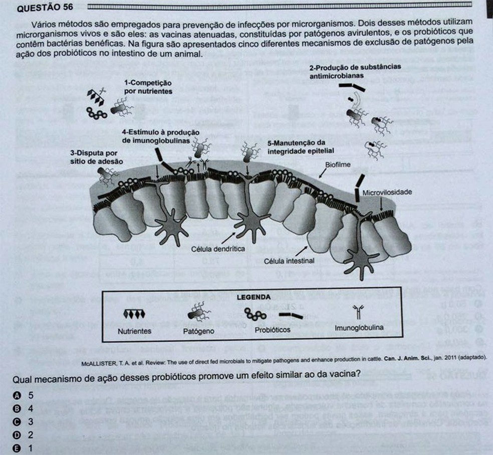 ENEM 2016 - 1º DIA - PROVA BRANCA - QUESTÃO 56 (Foto: G1 )