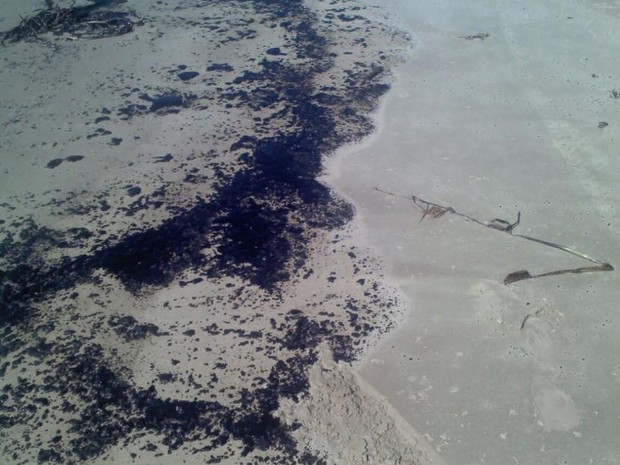 Mancha de óleo chegou as praias (Foto: Gustavo Costa )