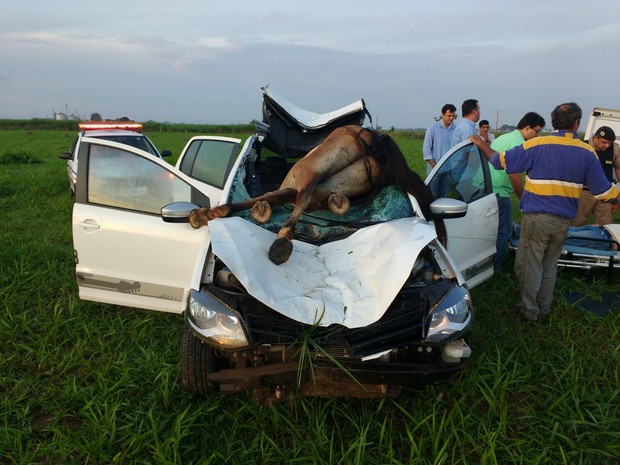 Cavalo invade carro Conceição das Alagoas (Foto: Soldado Peterson/Divulgação)