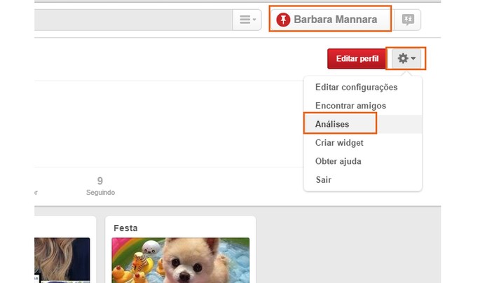 Acesse as análises pelo menu do Pinterest (Foto: Reprodução/Barbara Mannara)