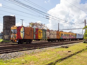Trens do subúrbio foram coloridos pelos Os Gêmeos e outros artistas (Foto: Daniele Rodrigues/Sedur)