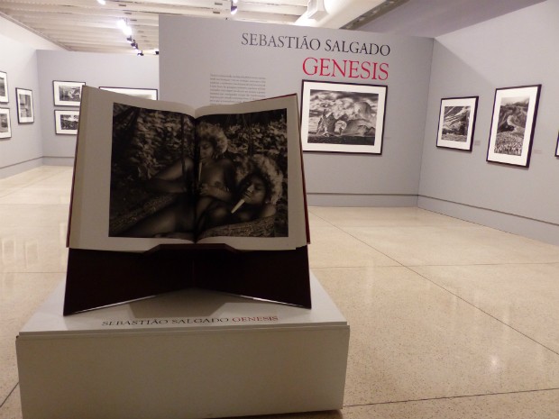 'Genesis' fica em cartaz no Museu Oscar Niemeyer até 15 de março (Foto: Thais Kaniak / G1)