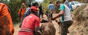Força-tarefa em MG retoma busca por desaparecidos (CHRISTOPHE SIMON / AFP)