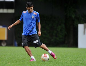 Gabriel Gabigol Santos (Foto: Ricardo Saibun/Divulgação Santos FC)