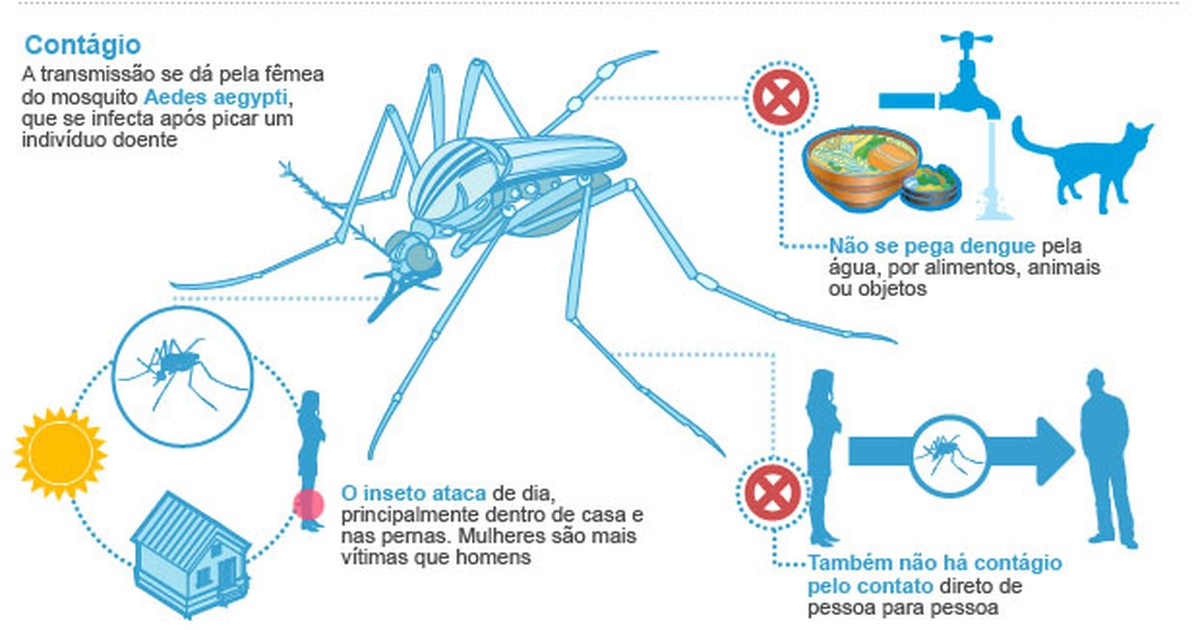 G1 Rio é a cidade mais mortes por dengue do país diz ministro da