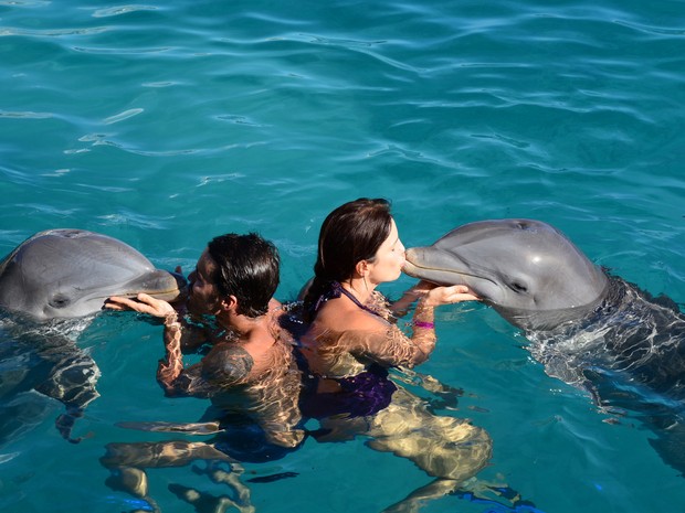 Ivete Sangalo e Daniel Cady nadam com golfinhos em Curaçao (Foto: Arquivo Pessoal)