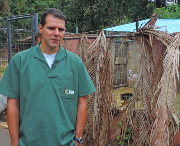 Veterinário André Costa diz que recuperação da ave é uma vitória (Foto: Tássia Lima / G1)