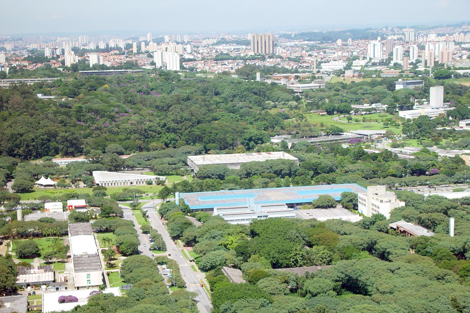 Campus da USP no Butantã, em São Paulo (Foto: Wikimedia Commons)