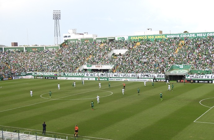 Análise: estreia de Eduardo Baptista tem testes e Palmeiras no 4-1-4-1