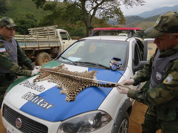 Couro de jaguatirica é encontrado em casa em Muniz Freire, Espírito Santo (Foto: Divulgação/ Polícia Militar)