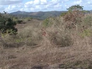Menino de 14 anos foi enterrado vico em área de lixão (Foto: Reprodução / TV Bahia)