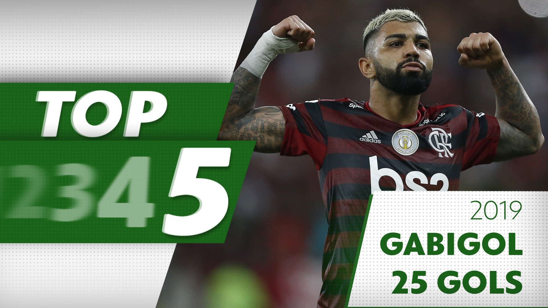 Artilheiros do Brasileirão veja o top 5 de cada goleador