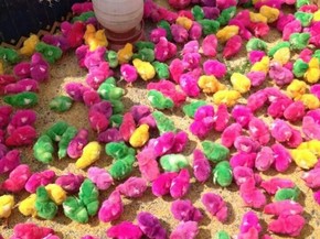 Pintinhos Coloridos Artificialmente Sao Vendidos Em Feira Popular Em Mg Vales De Minas Gerais G1 Desenho de pintinho para colorir. g1 globo