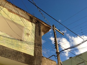 Insetos estavam em fenda de prédio, no centro da cidade. (Foto: Marcos Matos/ G1 Caruaru)