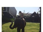 De biquíni, irmãs de Kim Kardashian passeiam em cima de elefante