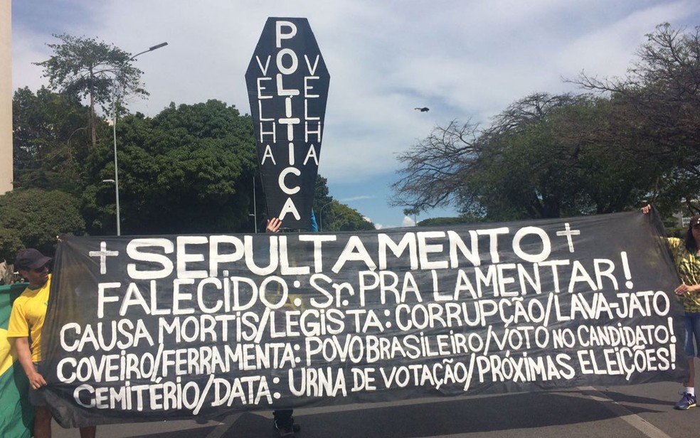 Manifestantes levaram faixas e até um caixão para a rua, em Brasília, neste domingo (Foto: Letícia Carvalho/G1)
