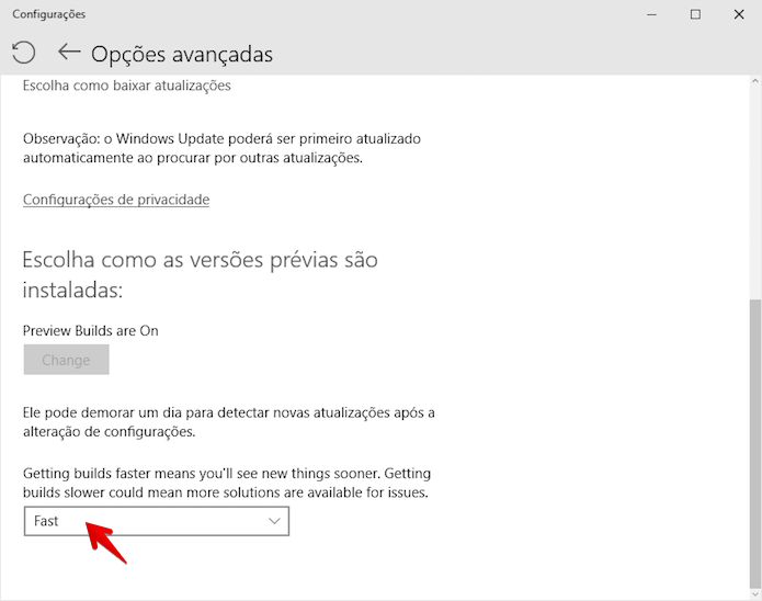 Selecione o modo Fast Ring do Windows 10 (Foto: Reprodução/Helito Bijora)