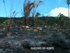 Incêndio destrói 10 hectares de floresta (TV Verdes Mares/Reprodução)