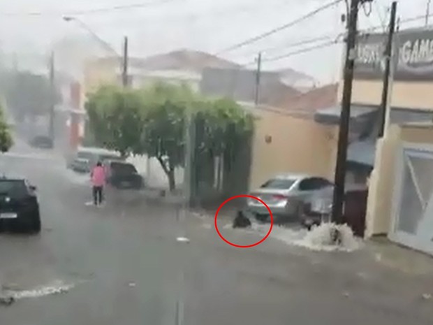 Resultado de imagem para Irmãs são arrastadas pela enxurrada em Fernandópolis