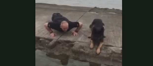 Policial e cachorrinha fazem flexões (Foto: Avon and Somerset Constabulary/Facebook)