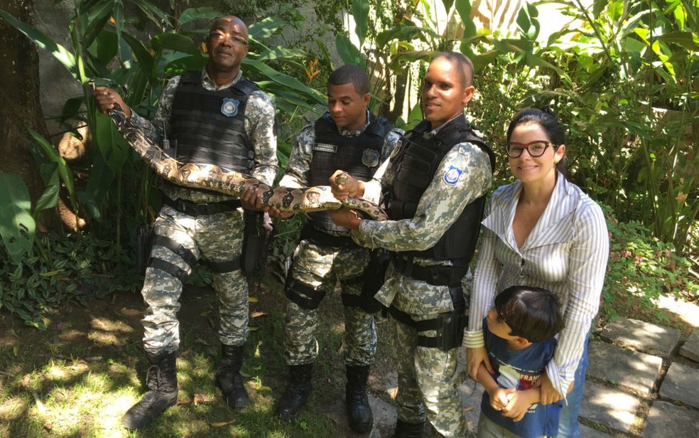 Agentes do Grupamento Especial de Proteção Ambiental da Guarda Municipal  resgataram  jiboia (Foto: Divulgação/ Secretaria Municipal de Comunicação )