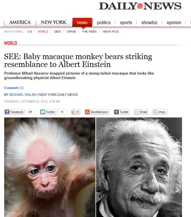 Bebê macaco fez sucesso por causa de sua semelhança com o físico Albert Einstein. (Foto: Reprodução)