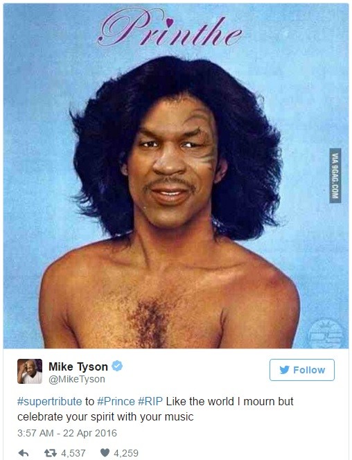 Mistura de Tyson e Prince