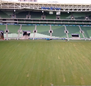 Arena Palmeiras reforma (Foto: Divulgação)