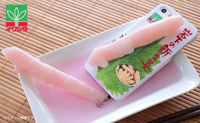 Capinha para iPhone 5s com comida japonesa (Foto: Reprodução/Strapya World)