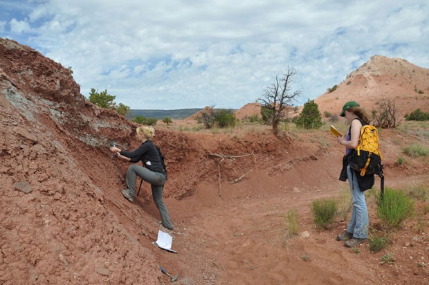 Terra Tersus, L.L.C. in Farmington, NM Company Info