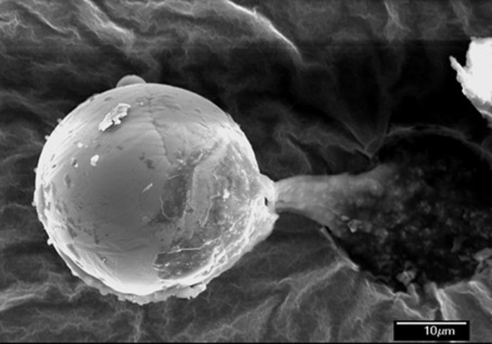 Esfera de titânio e vanádio tem diâmetro de um cabelo humano (Foto: Reprodução)