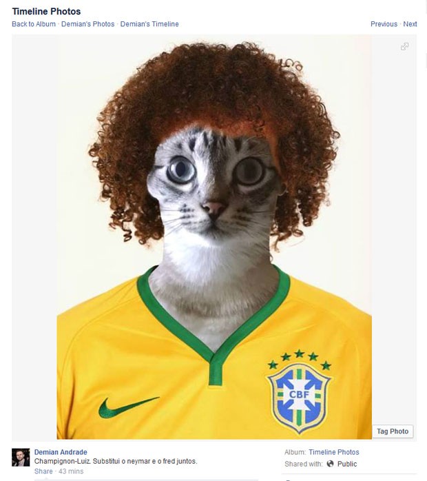 Até os gatos querem ser David Luiz (Foto: Reprodução/Facebook)